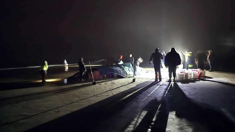 Live Humpback Whale Becomes Stranded Near Yachats, Drawing Overnight Crowd to Oregon Coast