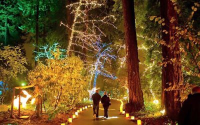 The Ultimate 2025 Guide to Christmas Lights in Oregon