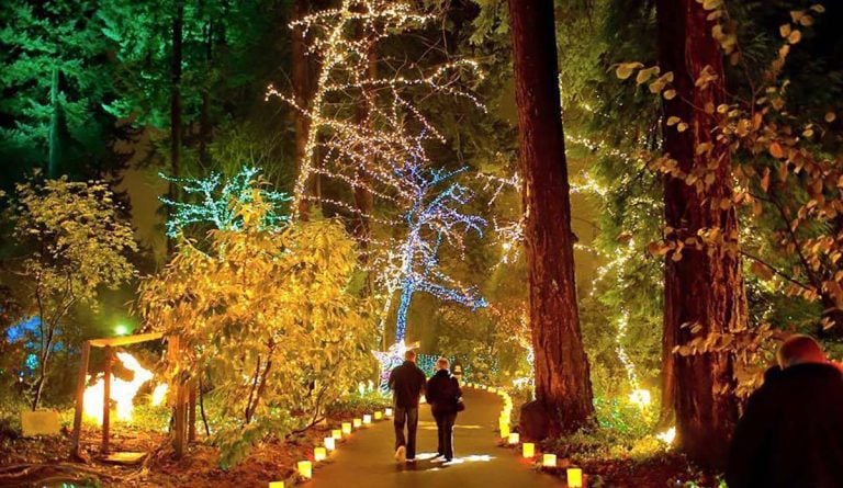 The Ultimate 2025 Guide to Christmas Lights in Oregon