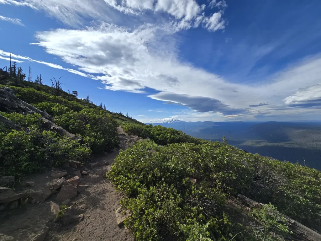 The final stretch of the trail to the summit opens up to reveal stunning views.