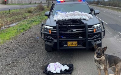 Two Mexican Nationals Arrested After 73-Pound Meth Seizure on I-5 Near Cottage Grove