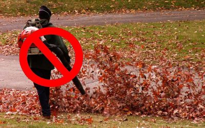 Not Satire: After Legalizing Meth and Recriminalizing It, Portland Has Now Banned Gas-Powered Leaf Blowers