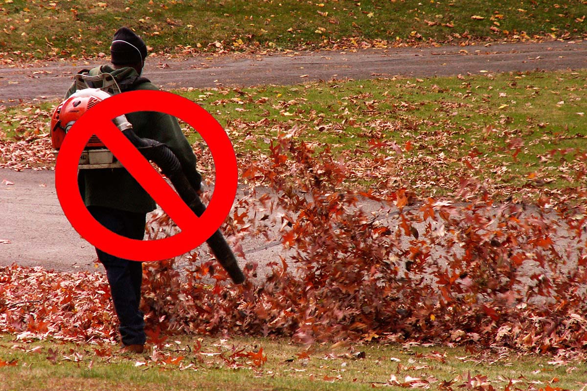 no more leaf blowers