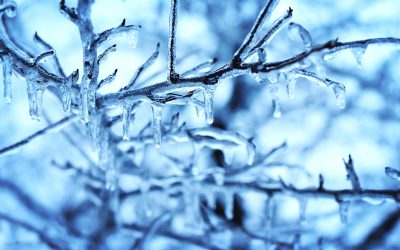 Yes, It’s Cold: Eugene–Springfield Sees Freezing Temps and Possible Snow