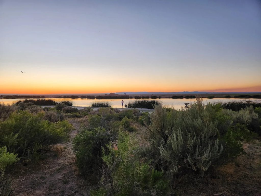 Beautiful desert morning sky under Eastern Oregon
