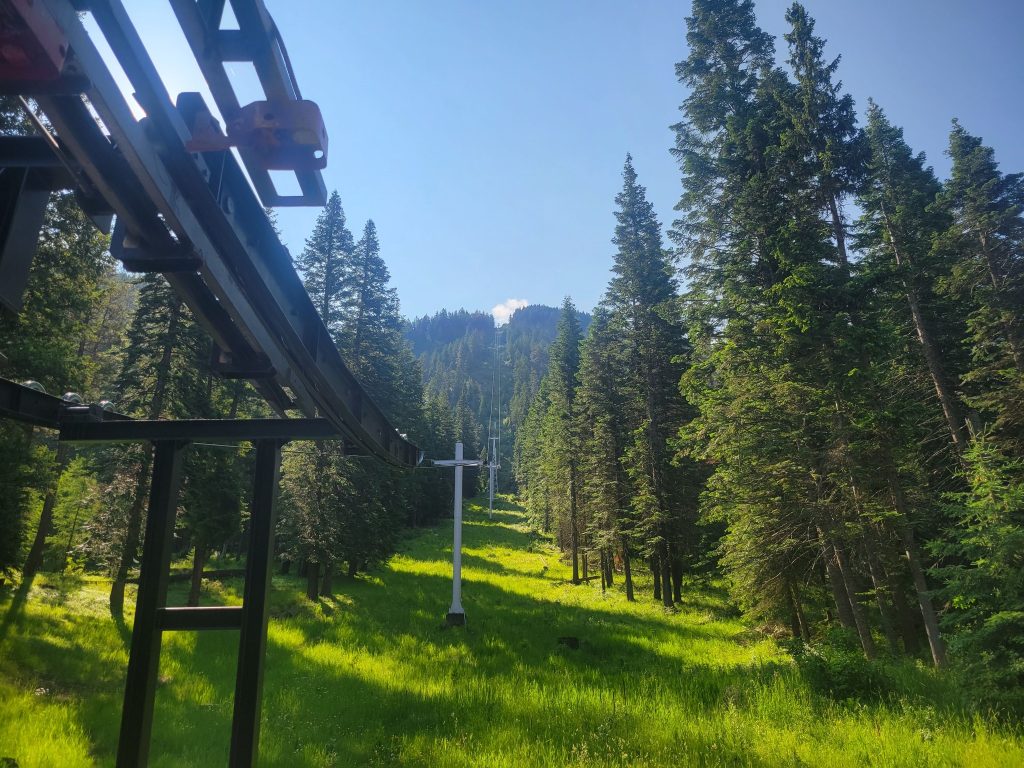 The view going up Howard Mountain in a gondola. Trees are cleared in a straight line up the mountain for the tramway.