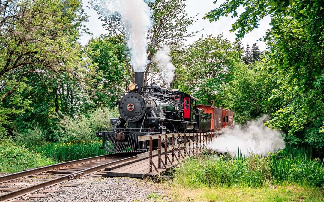 Pedal Through The Valley Or Enjoy Brunch On A Relaxing Santiam Excursion Train Ride
