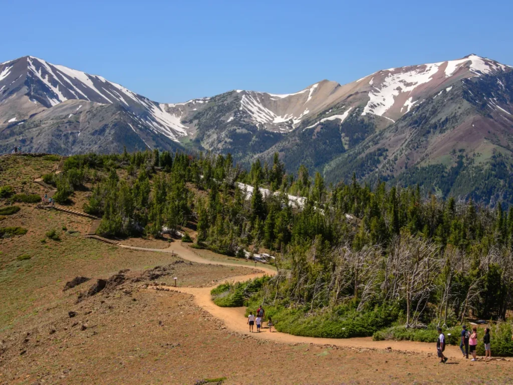 People hike the Royal Purple Trail at the top of Mount Howard, below pretty snow capped peaks.