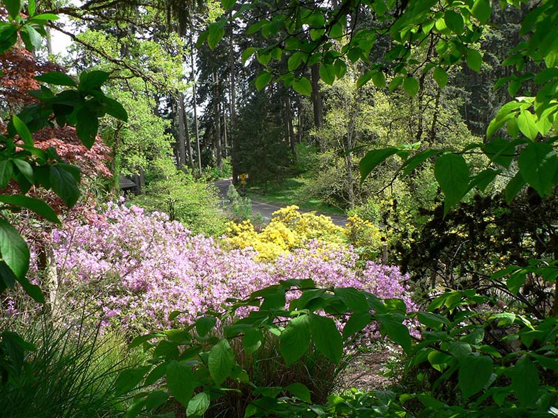 Spring along the Ruth Bascom Riverbank Path