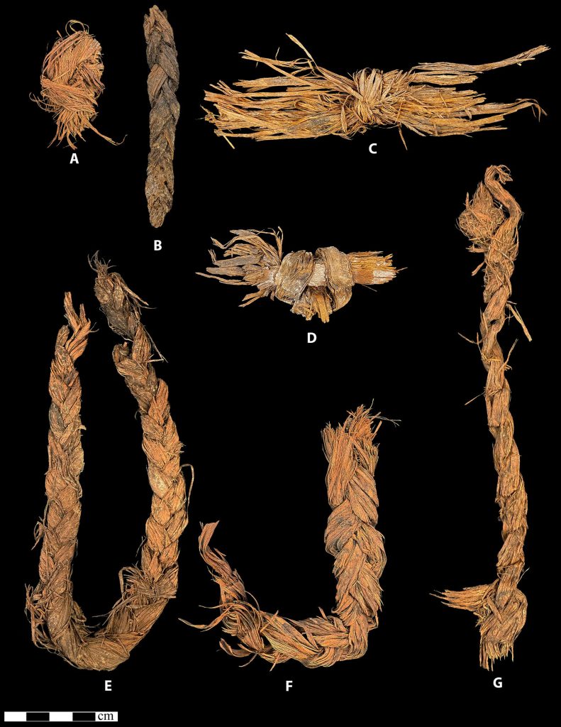 12,000-year-old woven plant fiber fragments discovered in an Oregon desert cave, possibly part of ancient clothing or footwear