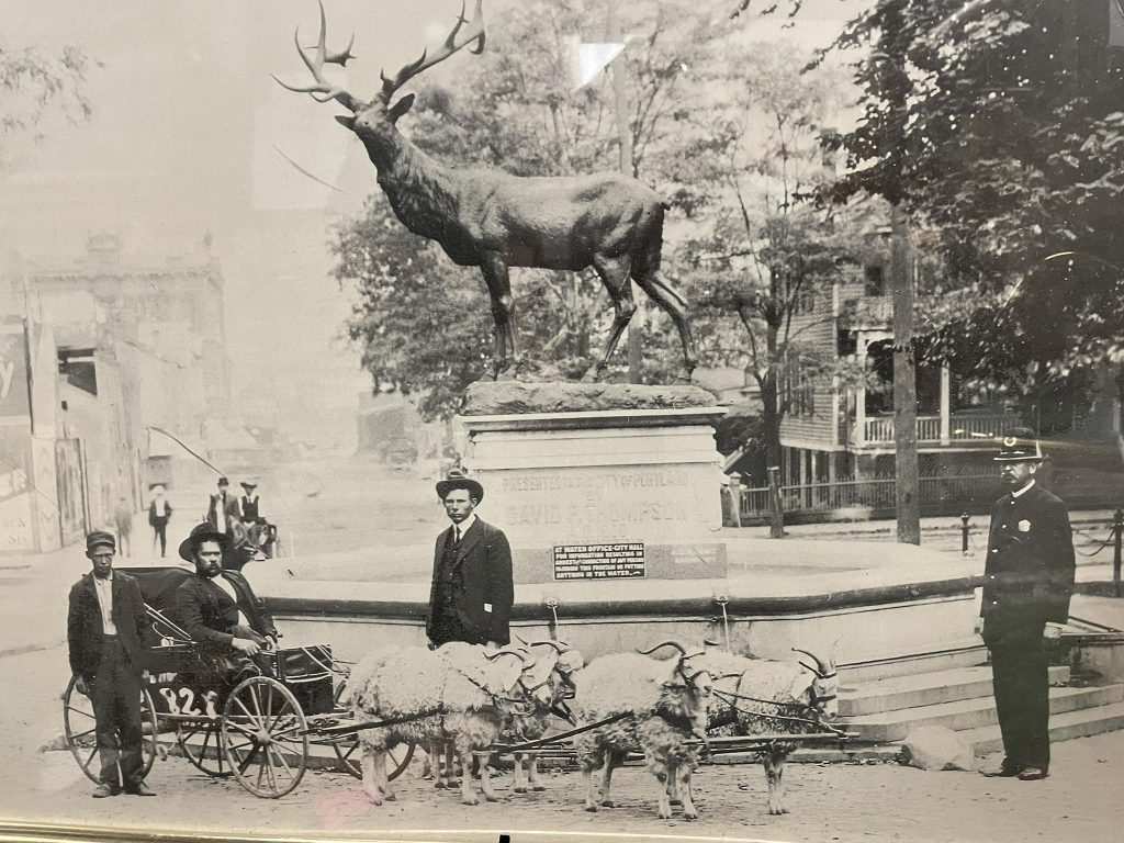 Thompson Elk Fountain, Portland Oregon, 2020 Riots, Graffiti, Statue Removed, Reinstallation Date, April 2026, Satire, Historical Momunment, Humor, Old Photo, Goats