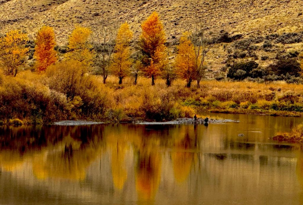 cottonwood canyon state park, central oregon, east of the cascades, wasco, john day river, places to go, adventures, things to do, dark sky sanctuary, biking, fishing, hiking, camping, wildlife, beautiful oregon, stargazing, best PNW vacations, autumn, fall
