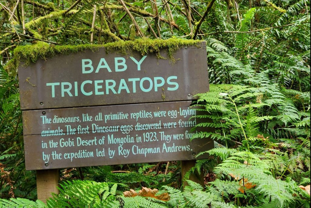 Prehistoric Gardens, Oregon Coast, Family Fun, Things to do with Kids, Port Orford, Retro Nostalgia, Adventures, Places To Go, Southern Coast, Highway 101, Dinosaurs, Fossil Lovers, Gift Shop, Roadside Attractions
