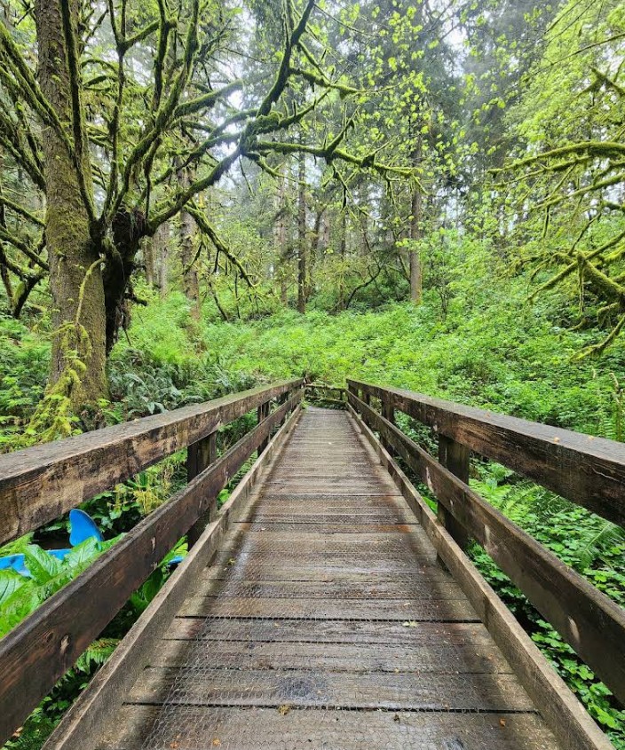 Prehistoric Gardens, Oregon Coast, Family Fun, Things to do with Kids, Port Orford, Retro Nostalgia, Adventures, Places To Go, Southern Coast, Highway 101, Dinosaurs, Fossil Lovers, Gift Shop, Roadside Attractions