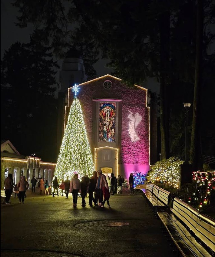 The Grotto, Portland Oregon, Hidden Gardens, Religious Sanctuary, Places To Meditate, City Views, Catholic Church, Enclusive Spaces, Christmas Lights, Basalt Cave, Wheelchair Accessible, Pet Friendly
