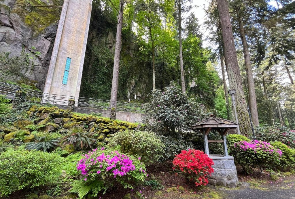 The Grotto, Portland Oregon, Hidden Gardens, Religious Sanctuary, Places To Meditate, City Views, Catholic Church, Enclusive Spaces, Christmas Lights, Basalt Cave, Wheelchair Accessible, Pet Friendly