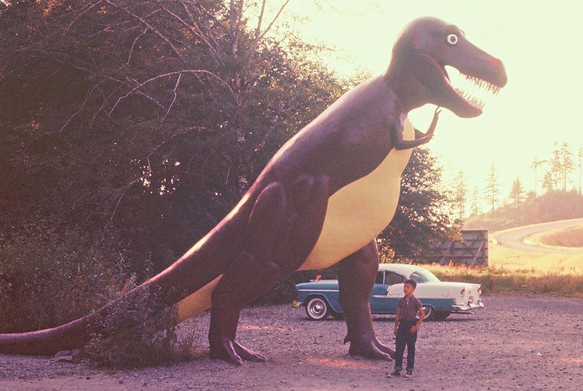prehistoric_Gardens_1957 Prehistoric Gardens, Oregon Coast, Family Fun, Things to do with Kids, Port Orford, Retro Nostalgia, Adventures, Places To Go, Southern Coast, Highway 101, Dinosaurs, Fossil Lovers, Gift Shop, Roadside Attractions
