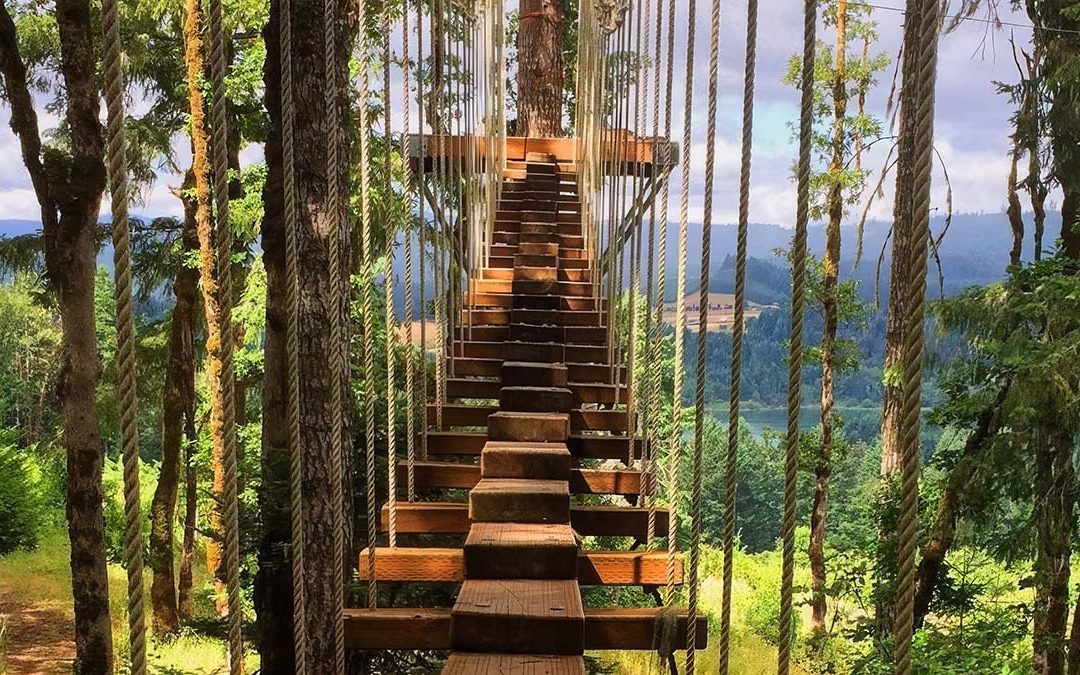 This Epic Tree-Top Adventure Park Near Portland Belongs On Your Oregon Bucket List