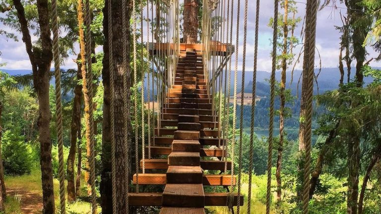 This Epic Tree-Top Adventure Park Near Portland Belongs On Your Oregon Bucket List