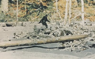 Oregon’s Bigfoot Evidence Once Reached the FBI—Here’s What They Actually Found