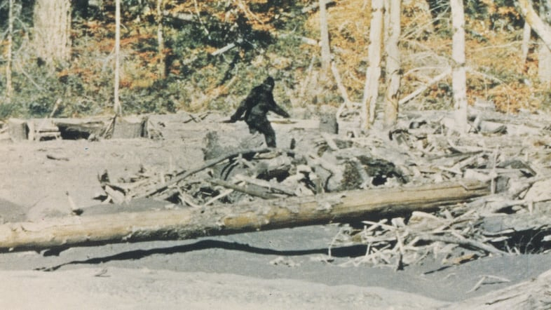 4V2THZVHFNIZHAPMYOMJYYTMJM Still from the 2026 documentary Capturing Bigfoot showing a forest search scene related to Sasquatch investigation