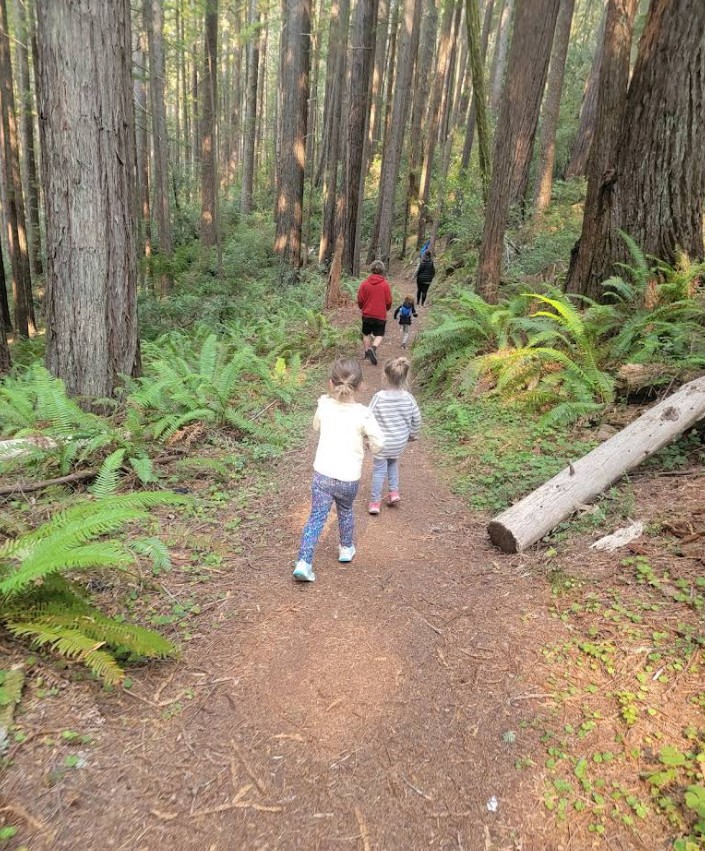 oregon redwoods trail, southern oregon coast, brookings, rogue river sisikou national forest, ada accessible hiking, sequoia trees, adventures, easy family hikes, day trips, forest bathing