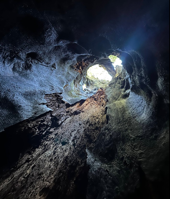 oregon redwoods trail, southern oregon coast, brookings, rogue river sisikou national forest, ada accessible hiking, sequoia trees, adventures, easy family hikes, day trips, forest bathing