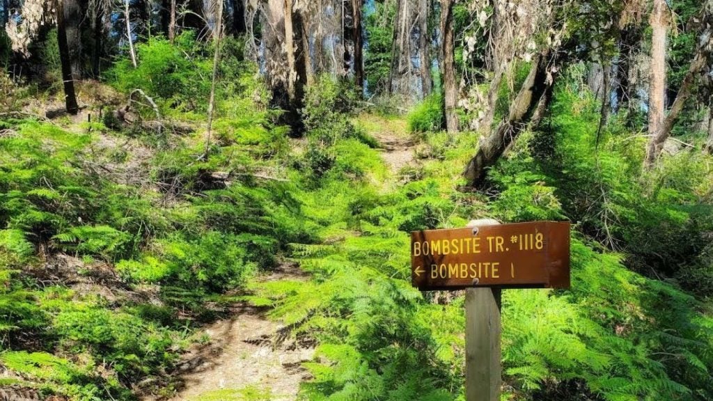 japanese bombsite trail, oregon history, hidden pacific northwest, secret places, WWII, us mainland bombing, hiking trails, off the beaten path, brookings, historical sites, heritage tree, interesting af, things to do