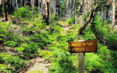 This Hidden Oregon Trail Marks the Only WWII Bombing on the U.S. Mainland