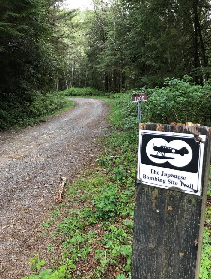 japanese bombsite trail, oregon history, hidden pacific northwest, secret places, WWII, us mainland bombing, hiking trails, off the beaten path, brookings, historical sites, heritage tree, interesting af, things to do