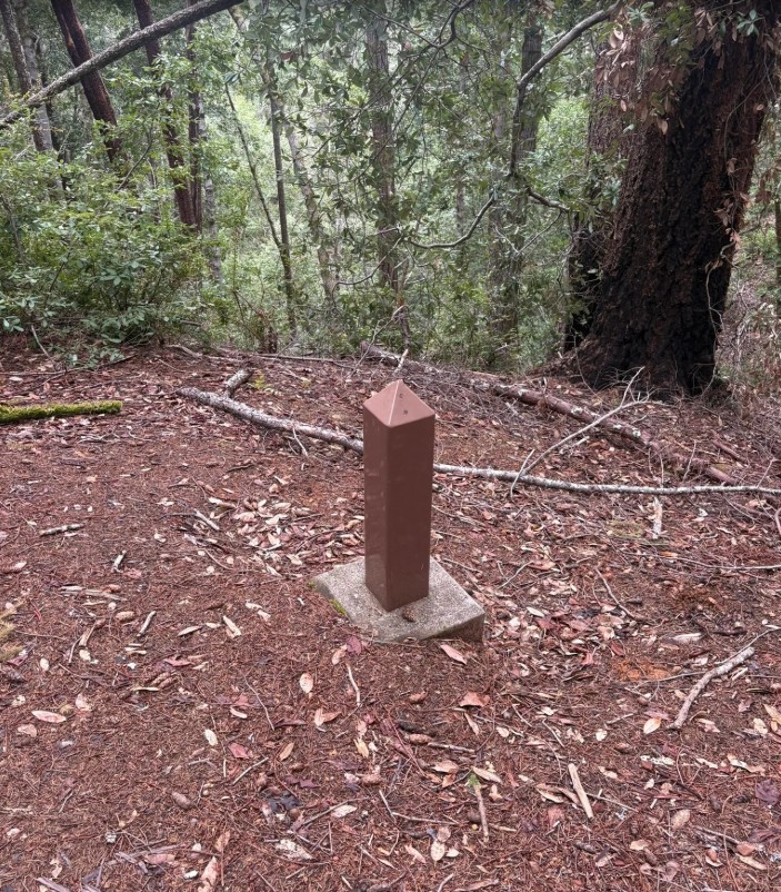 japanese bombsite trail, oregon history, hidden pacific northwest, secret places, WWII, us mainland bombing, hiking trails, off the beaten path, brookings, historical sites, heritage tree, interesting af, things to do