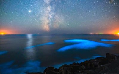 This Surreal Blue Glow On Oregon Beaches Looks Like Something From Another Planet