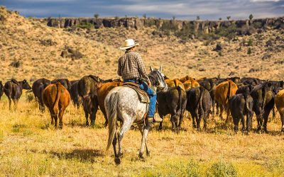 Could Oregon Really Ban Hunting and Farming? A Closer Look at IP28