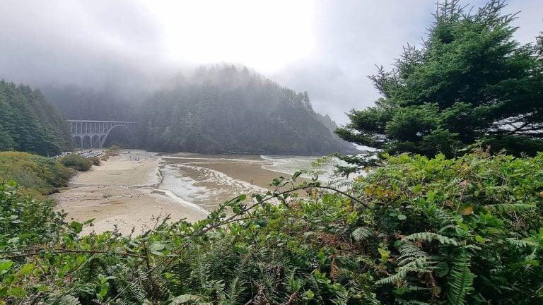 This Peaceful Oregon Coast Park Might Be the Best-Kept Secret Between Yachats and Florence