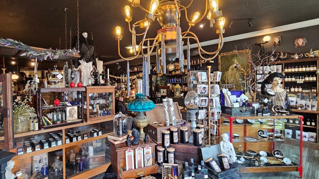 Femme Fatale Curiosities & Apothecary, Newport Oregon, Oregon Coast, Historic Bayfront, Weird and Wonderful, Curiosity Shop, Witch Shop, Wiccan Goods, Victorian Objects, Taxidermy, Macabre, Woman Owned, Crystals, Tarot Decks, Local Artisans, Herbs, Candles, Antiques, Book Store, Places To Go, Things to Do, Gothic Art, Mystic Supplies