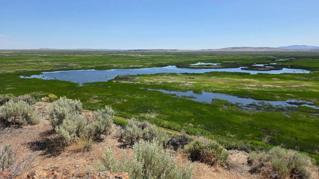Department of Fish and Wildlife, BLM, Bureau of Land Management, New Hunting Proposal, IP28, Federal Government