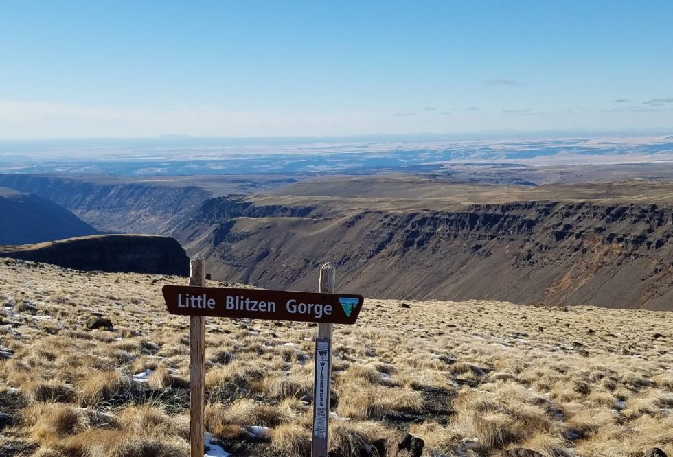 Oregon’s Highest Road Has Reopened for Summer With Wild Horses and Jaw ...