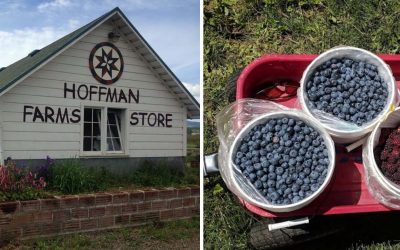 This Oregon Family Farm Lets You Pick Berries for Just $5 and Take Home Homemade Pie