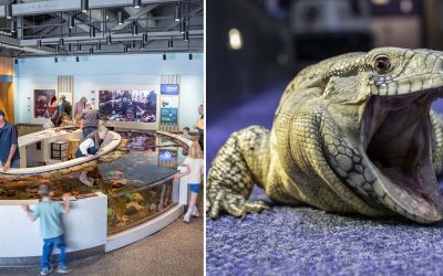This Top-Ranked Oregon Aquarium Now Lets You Explore The Amazon Without Leaving The Coast