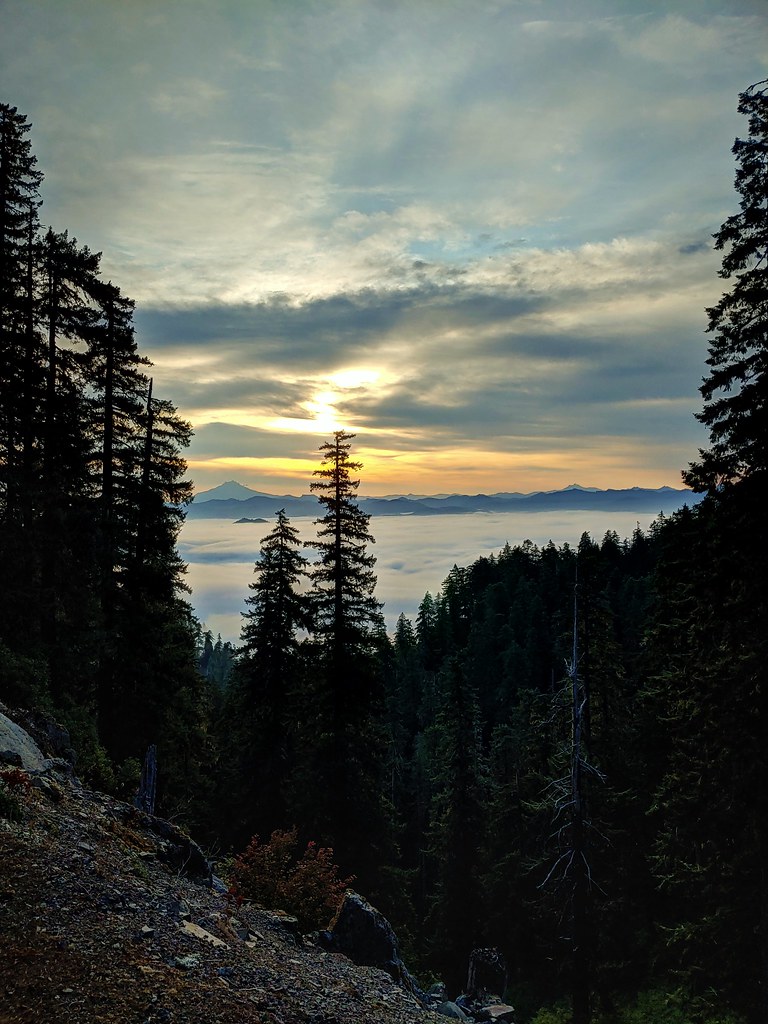 Crabtree Valley Oregon, Part Two, King Tut, Nefertiti, Douglas Fir, Timber Industry, BLM, Bureau of Land Management, Ancient Forest, Logging Industry, Spotted Owl, Oregon Economy, Mills Closing, Barred Owl, Northwest Forest Plan, Areas of Critical Environmental Concern, Conservation