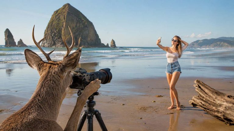 Local Deer Photographs Goofy Human Taking 47th Identical Selfie Of The Morning