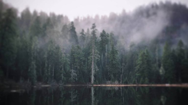 Deep in Oregon’s Cascades, Two 800-Year-Old Giants Stand Watch Over A Hidden Lake