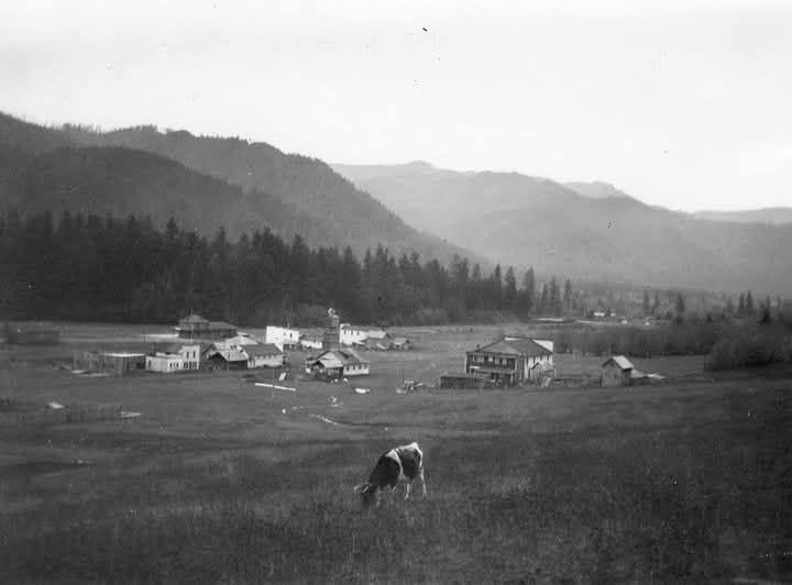 Oregon History, Wildfires, Debate, Old Newspaper Article, 1903, Hazel Dell, Oakridge, Upper Willamette, Arson, Senate Bill 50, Booth-Kelley, Forest Management, Eugene Guard, Tillamook Burn, Old Trails Fire