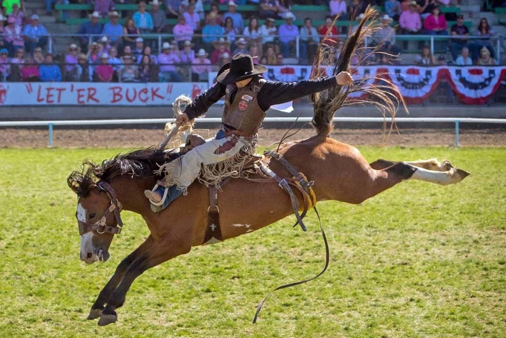 Pendleton Rodeo