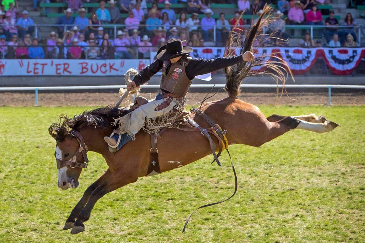 2016-pendletonroundup-susanseubert-06 Pendleton Rodeo