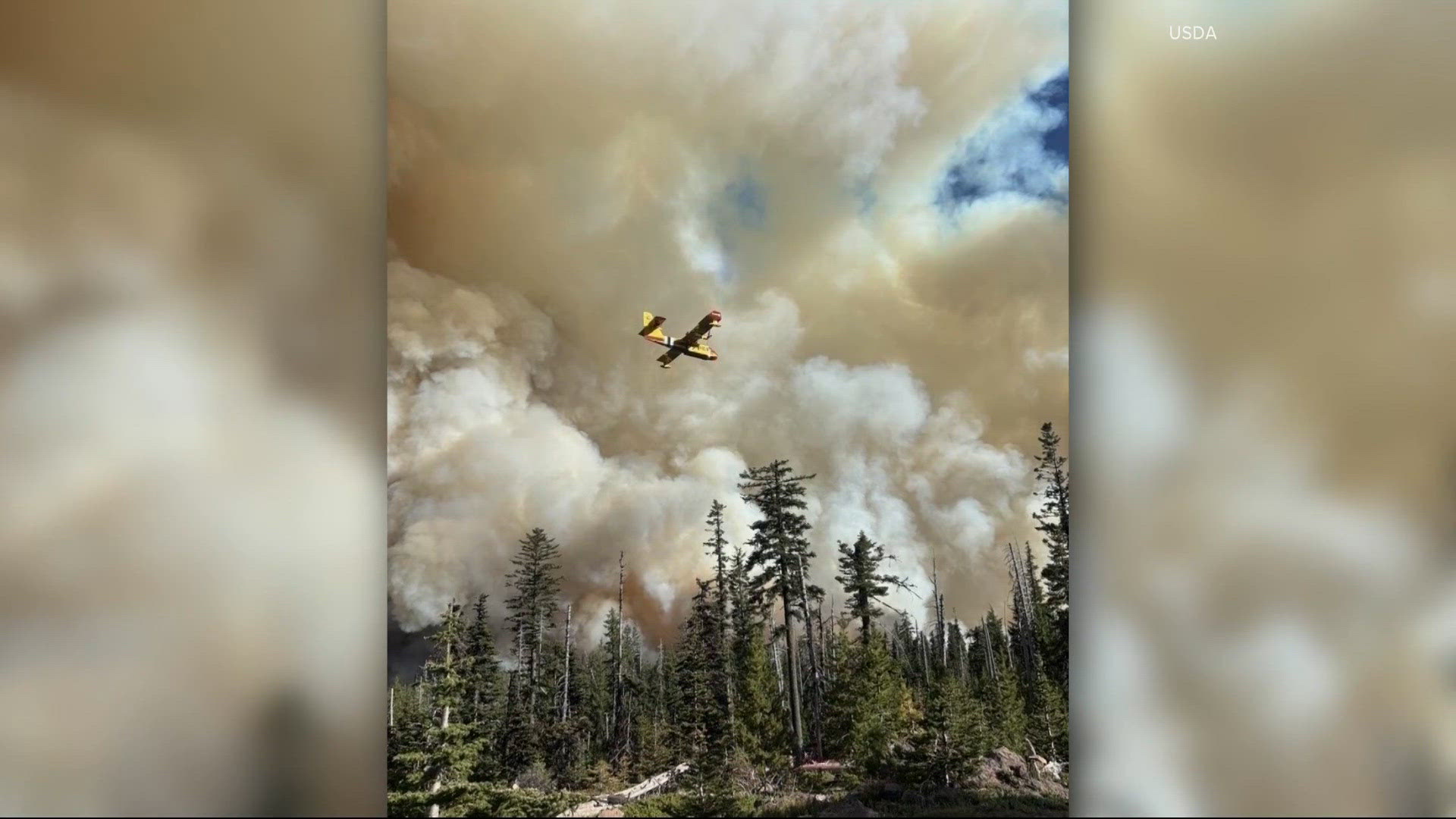 383b933c-8f12-4e61-a752-8b37aeec930d_1920x1080 Mt. Hood Meadows Fire