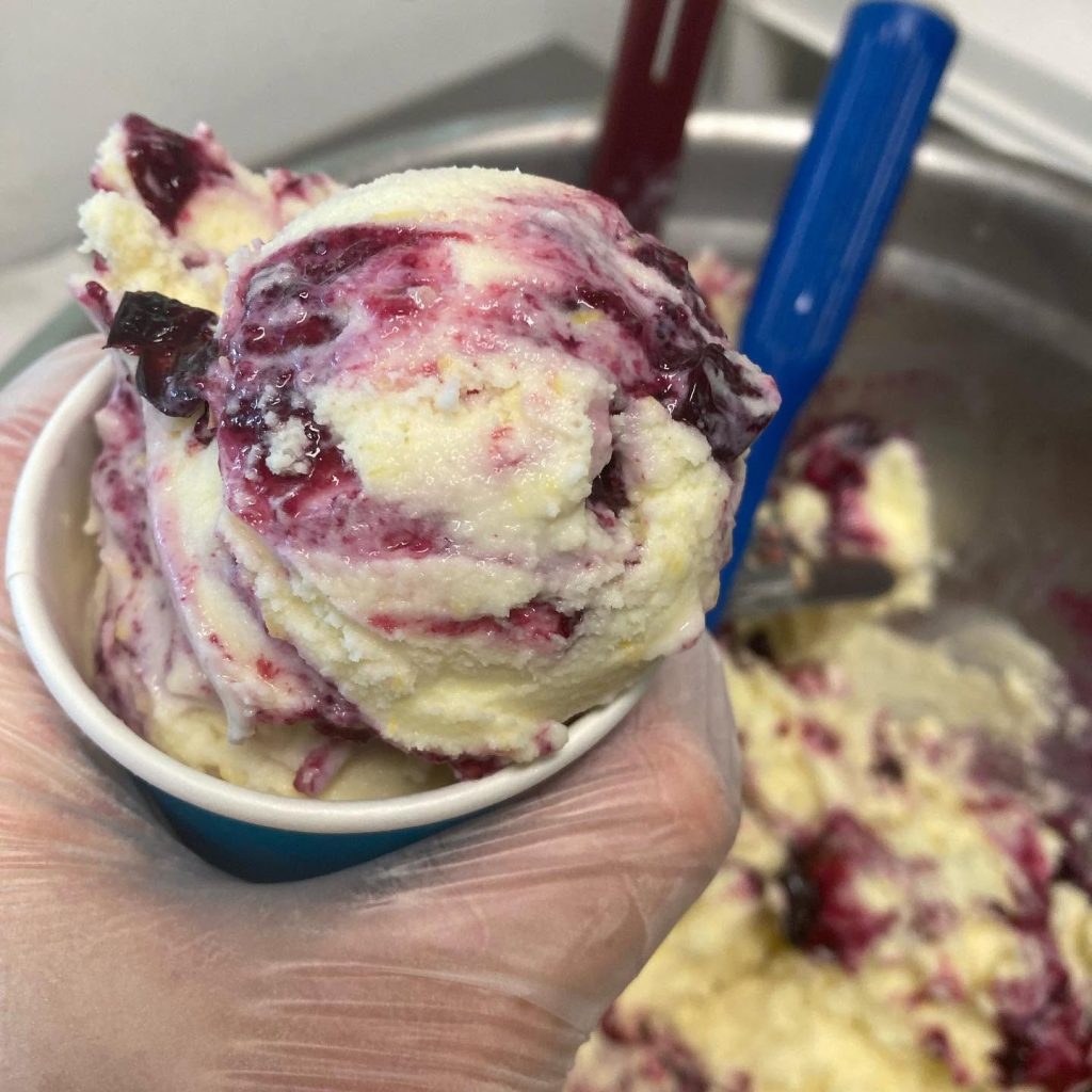 fraga farm, creamery, gales creek oregon, tualatin valley, baby goats, fresh cheese, gelato, goat-milk products, farm store, family friendly, PNW, places to go