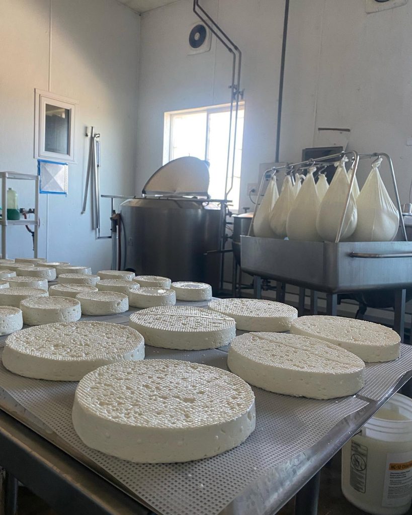 fraga farm, creamery, gales creek oregon, tualatin valley, baby goats, fresh cheese, gelato, goat-milk products, farm store, family friendly, PNW, places to go