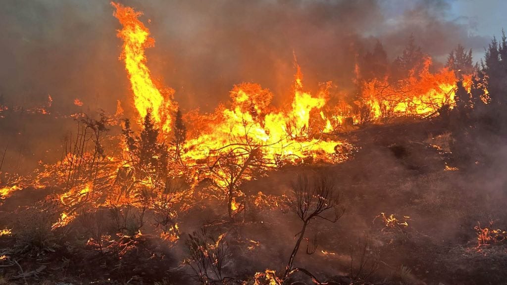 ORDF, Wildfires, 2026, record breaking, oregon on fire