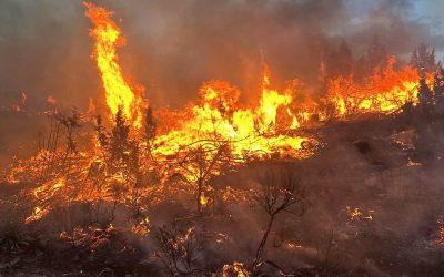 Oregon Wildfires Top 2 Million Acres, Closing In on State’s All-Time Record